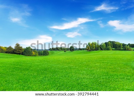 Sunny meadow and blue sky