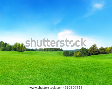 summer meadow and blue sky with fluffy clouds