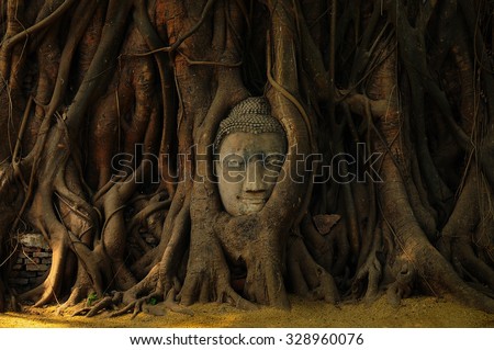 Buddha head in tree root, Wat Mahathat, Ayutthaya