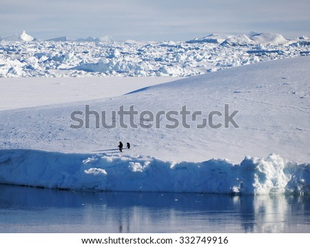 Two penguins on floating ice sheet in Antarctica