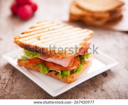 Toast Sandwich served in the plate