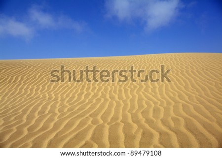 sand dune with blue sky in the namibian desert