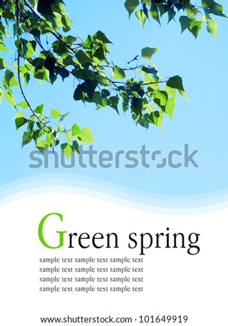 green leaves on blue background  with text