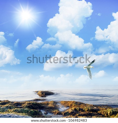 gull over sea and surf