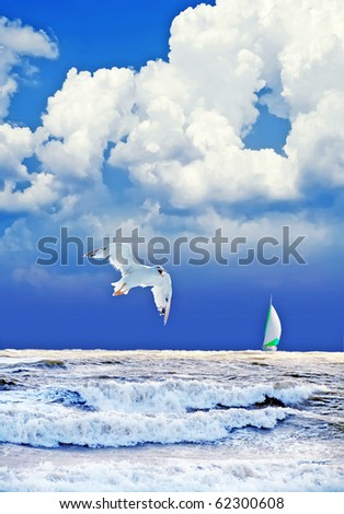 landscape after thunderstorm with gull and yacht