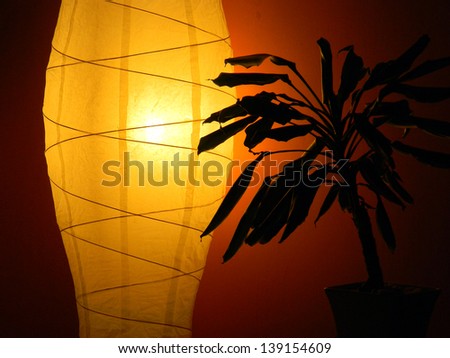 detail photography of lighting paper lamp and plant silhouette