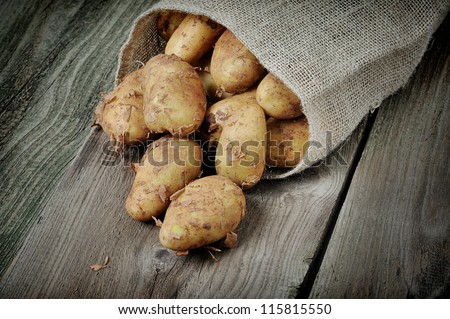 organic potatoes in burlap bag on a wooden background