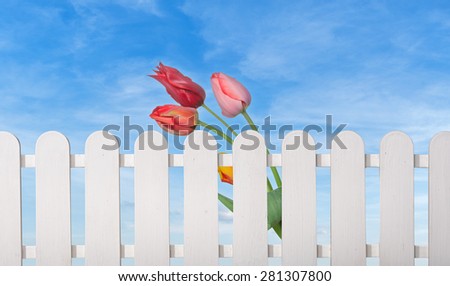 fence with spring flowers