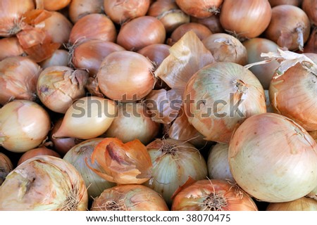 heap of raw unpeeled onions  for sale at the vegetable market