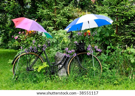 funny bicycle with umbrella and flower pot standing outdoors