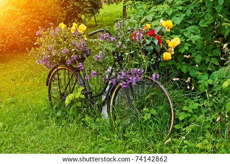 funny bicycle with flower pot standing outdoors