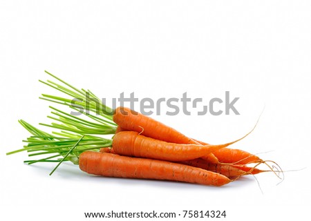 stock photo : fresh carrot