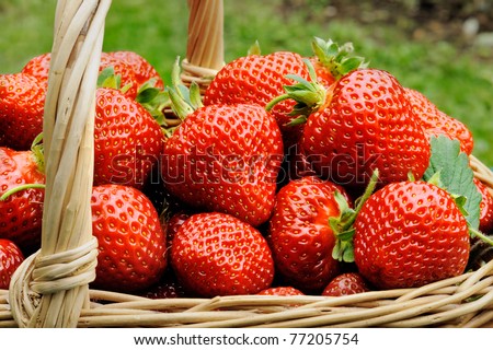 stock photo : Basket of fresh strawberries
