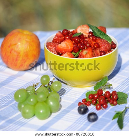 bowl of fresh berries and other fruits in an outdoor setting - a healthy breakfast in the garden.