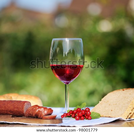 Red wine glass and bunch of grapes and young vine against natural spring background