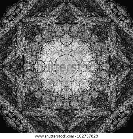 The pattern created from a photo of a spider\'s web. Abstracts. Symmetrical pattern to the background or poster.