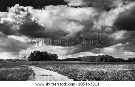 Black-white landscape. Cloudy sky, field and rural road. Landscape of village.