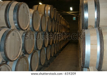 French wine cellar, Bourgogne, France
