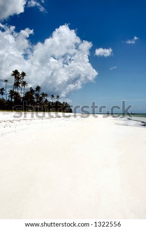 Zanzibar beach by day, Tanzania, Africa