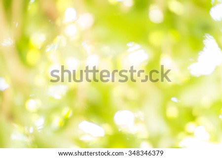 Blurry nature tree leave texture abstract background