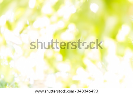 Blurry nature tree leave texture abstract background