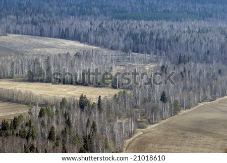 Aerial view of fields and forest. Aerial view of larch and conifer forest in spring. Ural  landscape from a helicopter
