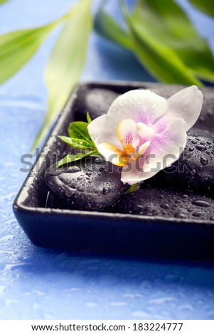 Orchid flowers with bamboo leaves and spa stones on wet blue background, closeup shot, shallow dof