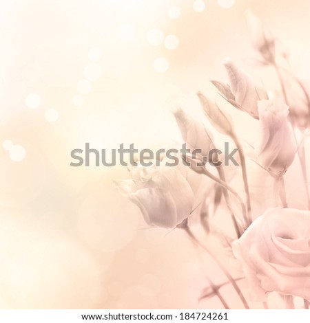 Beautiful flowers in magic light/ Spring or summer flower background, toned and filtered photo