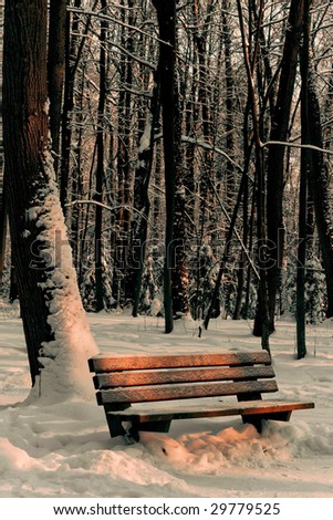 Bench in a snow-covered park at sunset