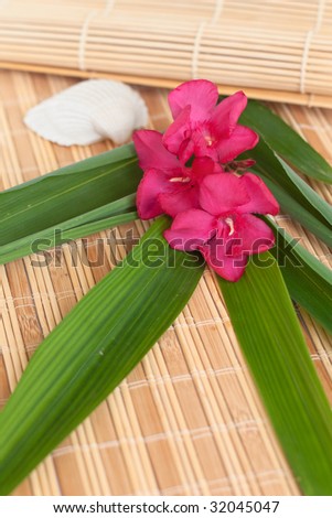 Summer holidays (tropical flowers, a seashell and bamboo leaves set on bamboo mats)