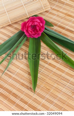Beautiful vacations (a rose and bamboo leaves set on bamboo mats)