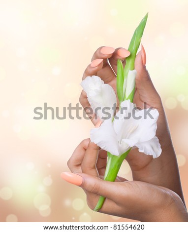 Beautiful woman hands with french manicure holding white flowers, closeup shot, isolated on white