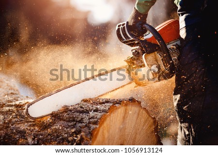 Chainsaw. Chainsaw in move cutting wood. Man cutting wood with saw. Dust and movements.