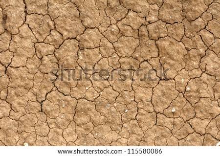 cracked clay soil into the dry season