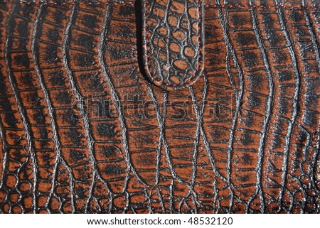 crocodile leather purse texture