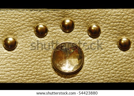 golden belt jewel macro