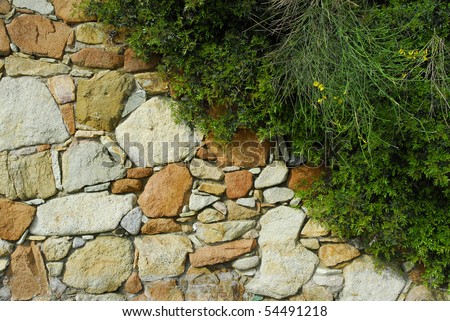 Stone Wall In Garden Stock Photo 54491218 : Shutterstock