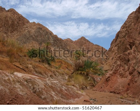 Oasis landscape between mountains, Sinai Peninsula, Egypt