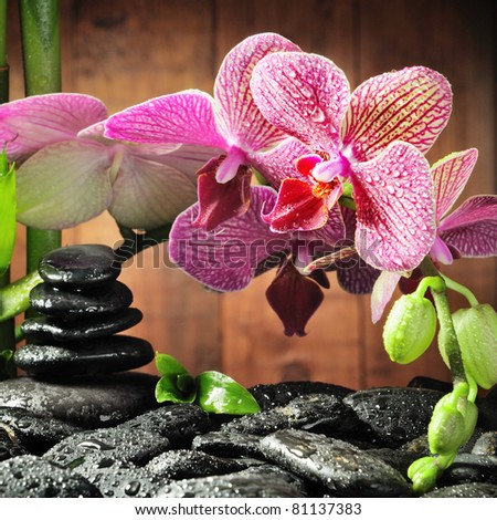 stock photo : spa concept with zen stones and  orchid