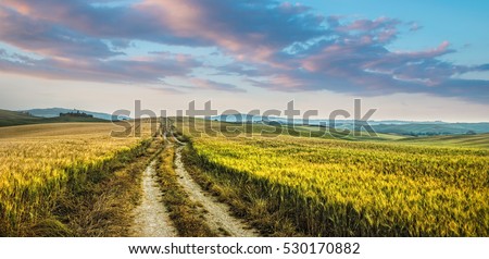 sunset over dirt road