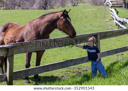 Young boy feeds grass to a horse in a pasture
