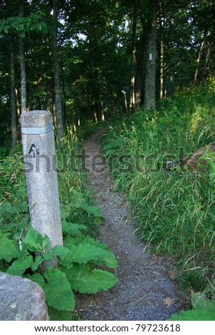 Appalachian Trail - Pole with Appalachian Trail symbol marking a path in the Virginia section.