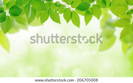 Fresh green image