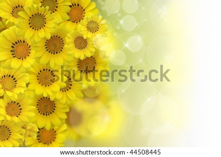 Back ground of yellow flower