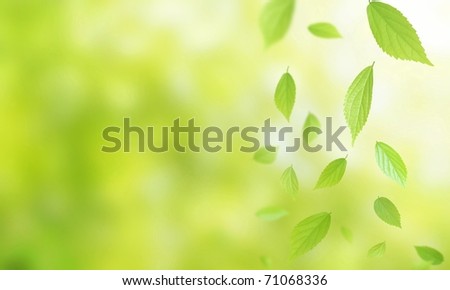 Synthetic background image of foliage leaf