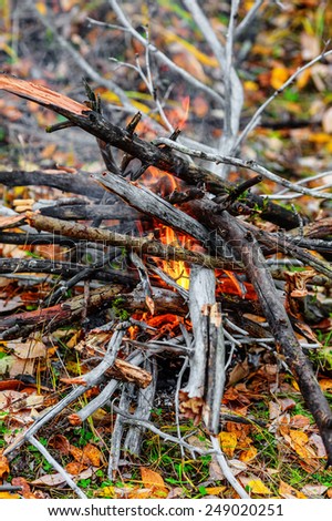 Closeup of campfire flame and firewood on the ground