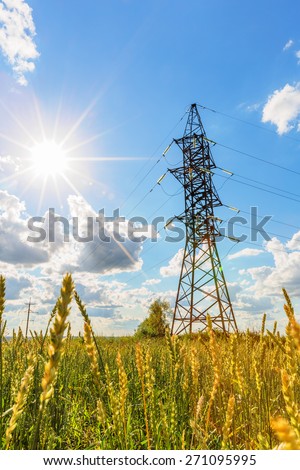 High voltage line and wheat field beneath blue sky with sun