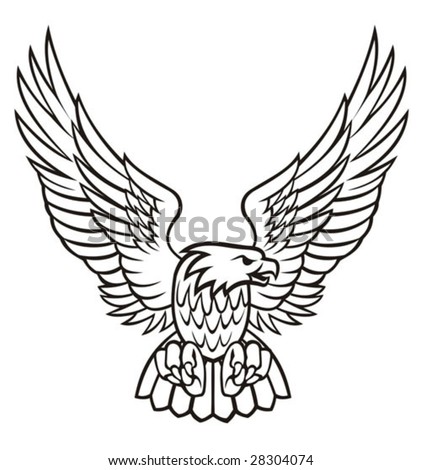 Eagle Wings Drawing on Eagle Vector Illustration   28304074   Shutterstock