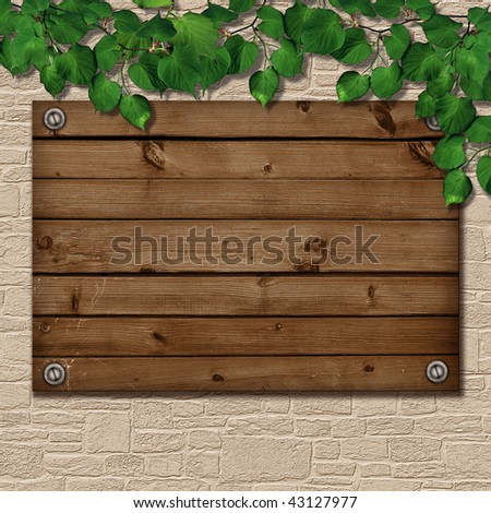 Board on the wall, framed by the plant