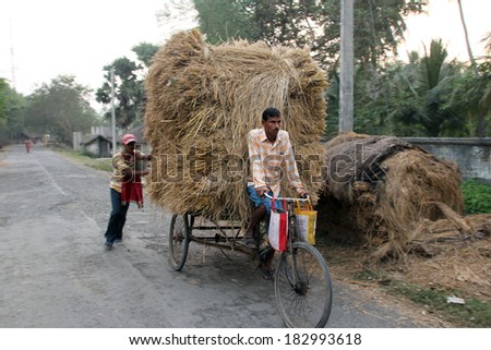 BAIDYAPUR, INDIA - DEC 01 :An unidentified rickshaw rider transports rice from the farm home on Dec 01,2012 in Baidyapur, West Bengal, India. Cycle rickshaws were introduced in to India in the 1940\'s.